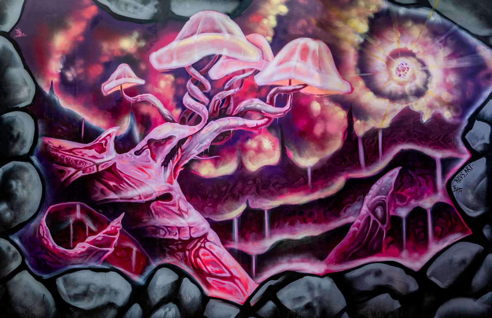 'Mushroom Scape 2021’- Kevin Hughsam | Mural Maze Paper Print image 0