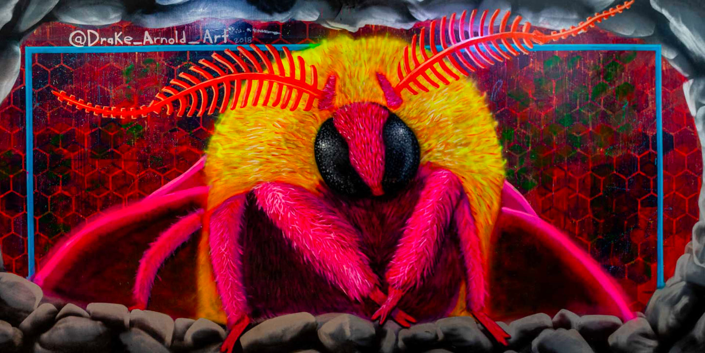 'DrakeBug'-Drake Arnold-2019|Mural Maze Paper Print image 0