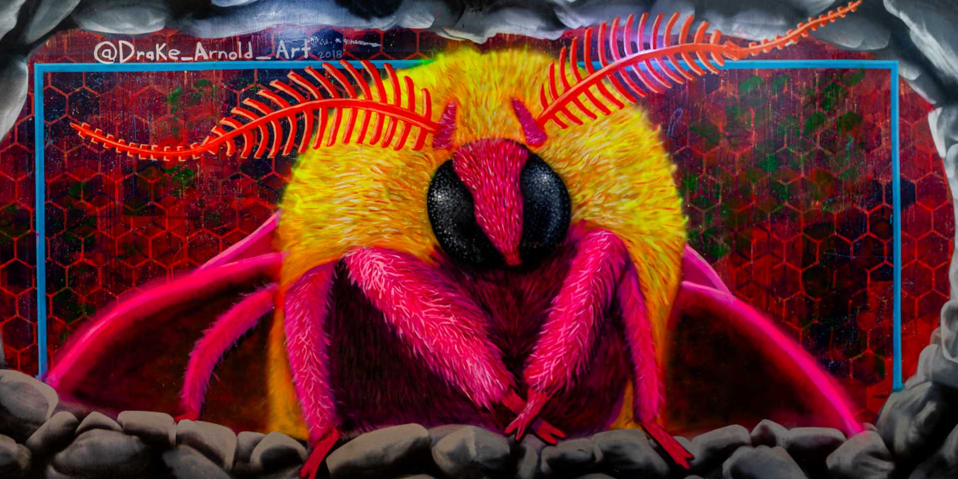 'DrakeBug'-Drake Arnold-2019|Mural Maze Paper Print image 0