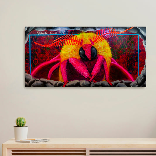 'DrakeBug'-Drake Arnold-2019|Mural Maze Canvas Print image 0