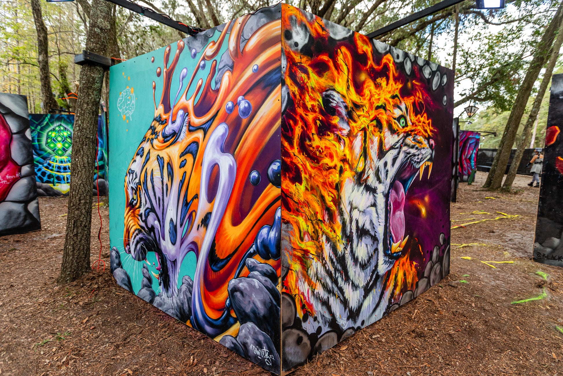 'Tiger Bros'-Swartz Brothers|Mural Maze Canvas Print image 2